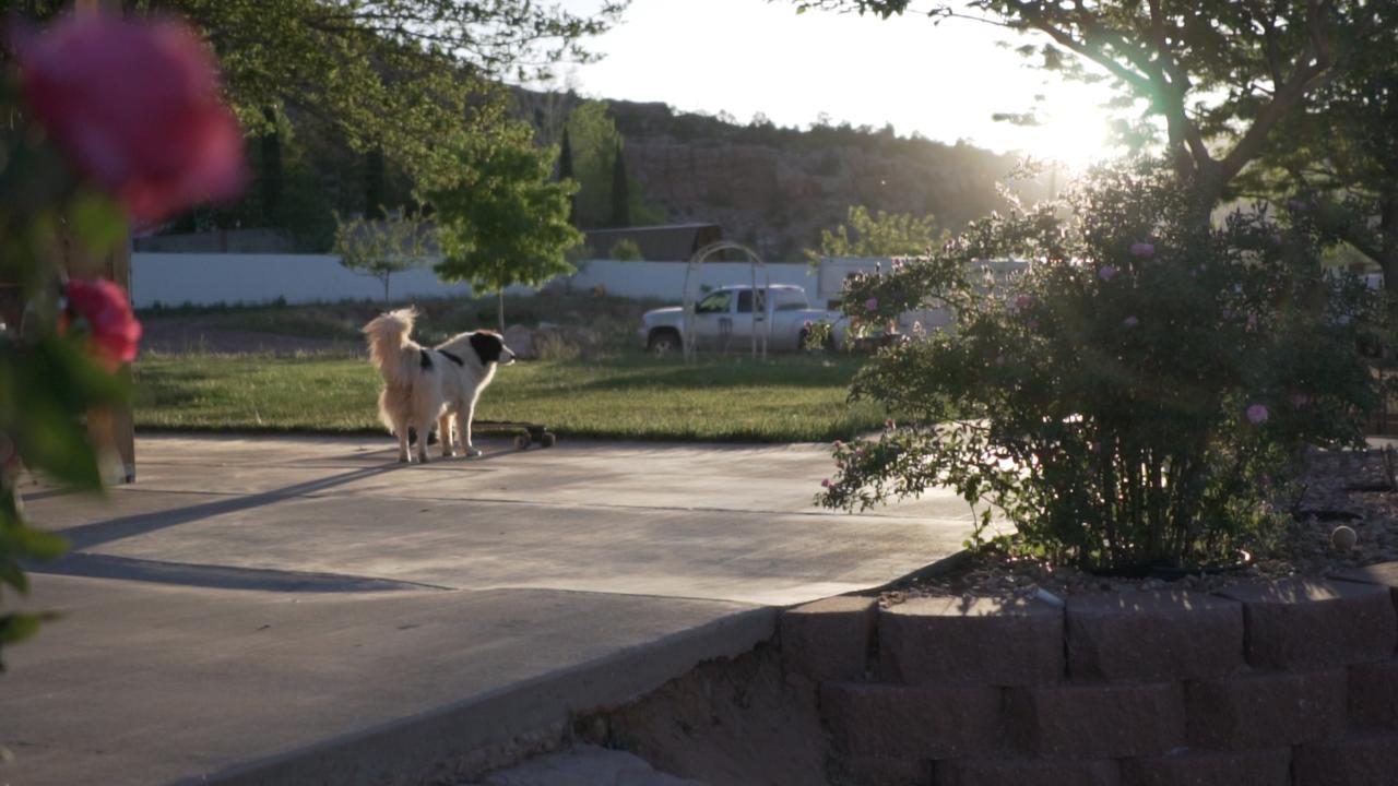 Zion's Blue Sage Bed&Breakfast Hildale Exterior foto